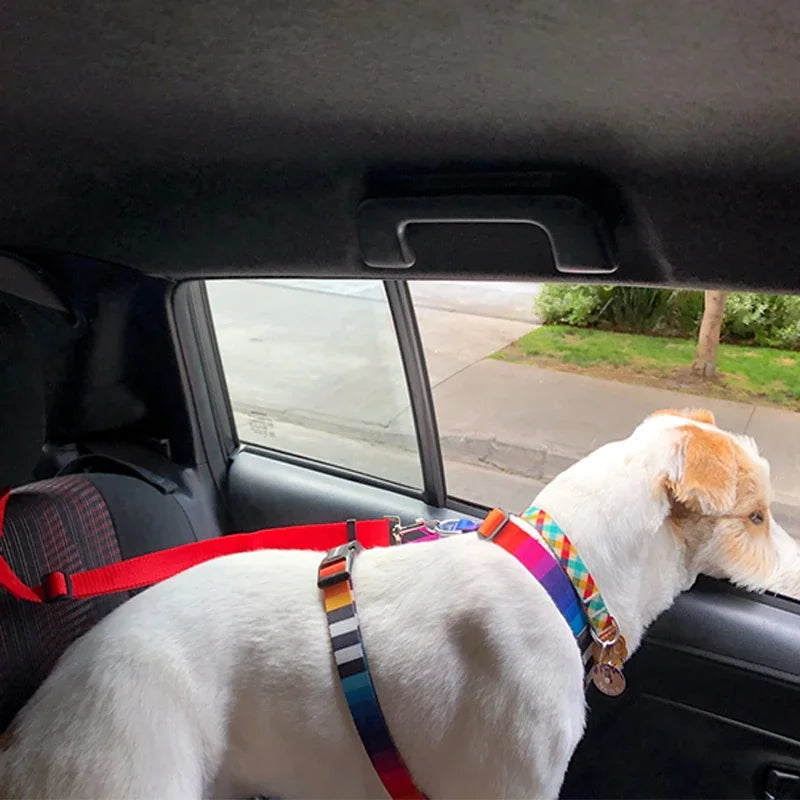 Two-in-One Pet Car Leash