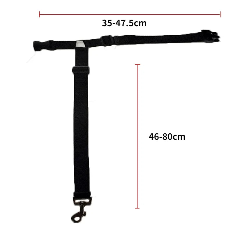 Two-in-One Pet Car Leash