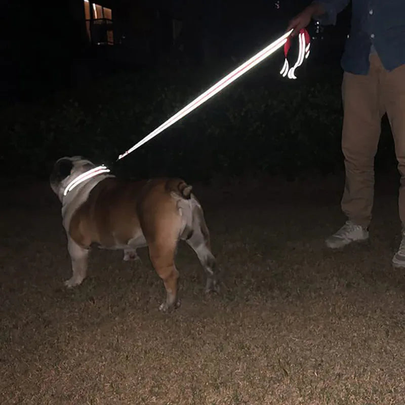 Reflective Pet Towing Leash