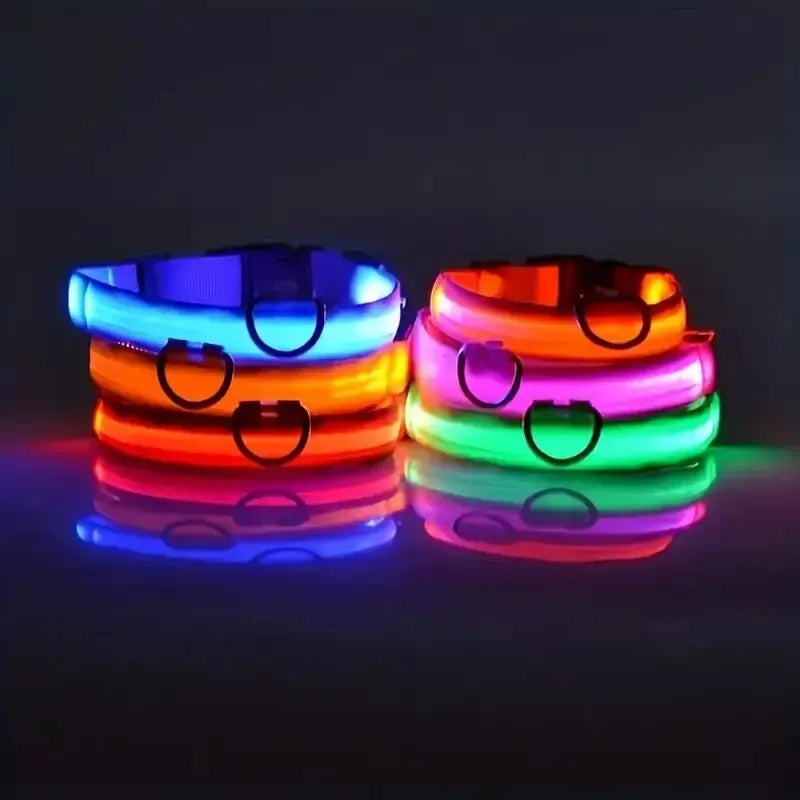 Nylon Glow Dog Leash