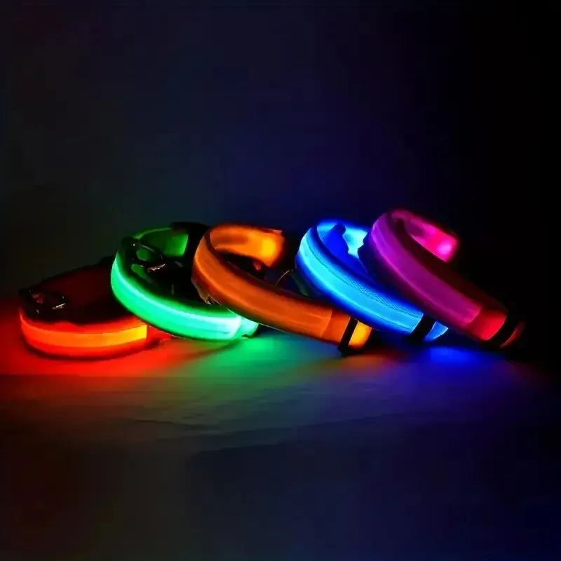 Nylon Glow Dog Leash