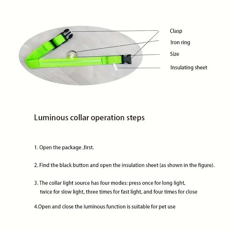 Nylon Glow Dog Leash
