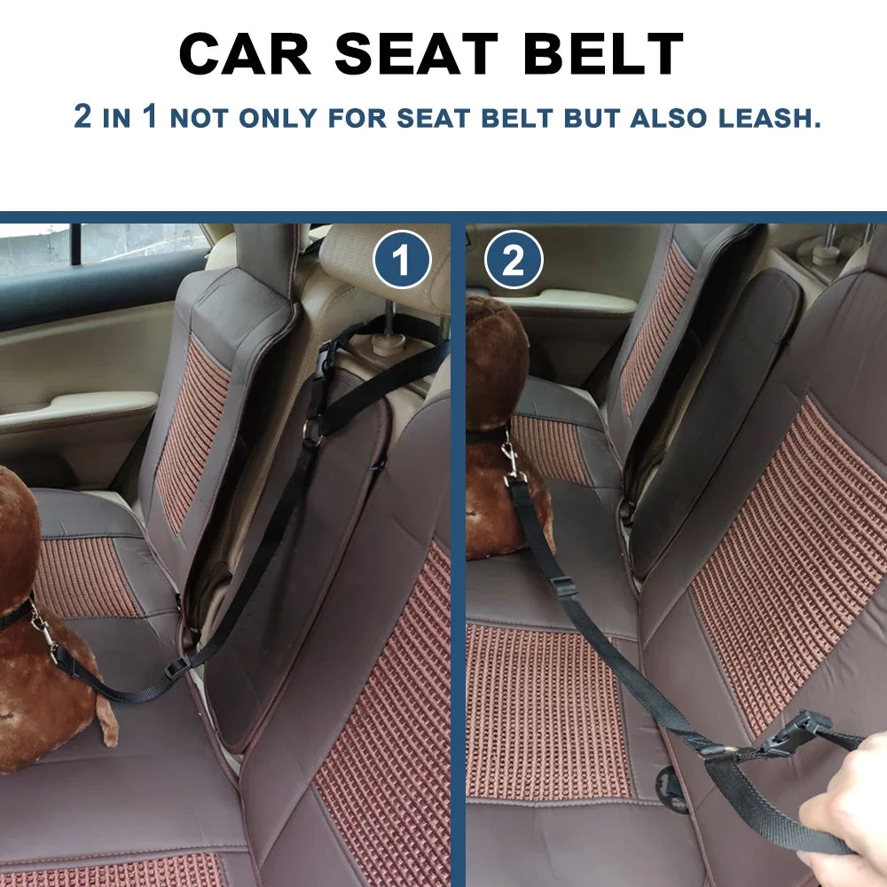 Two-in-One Pet Car Leash