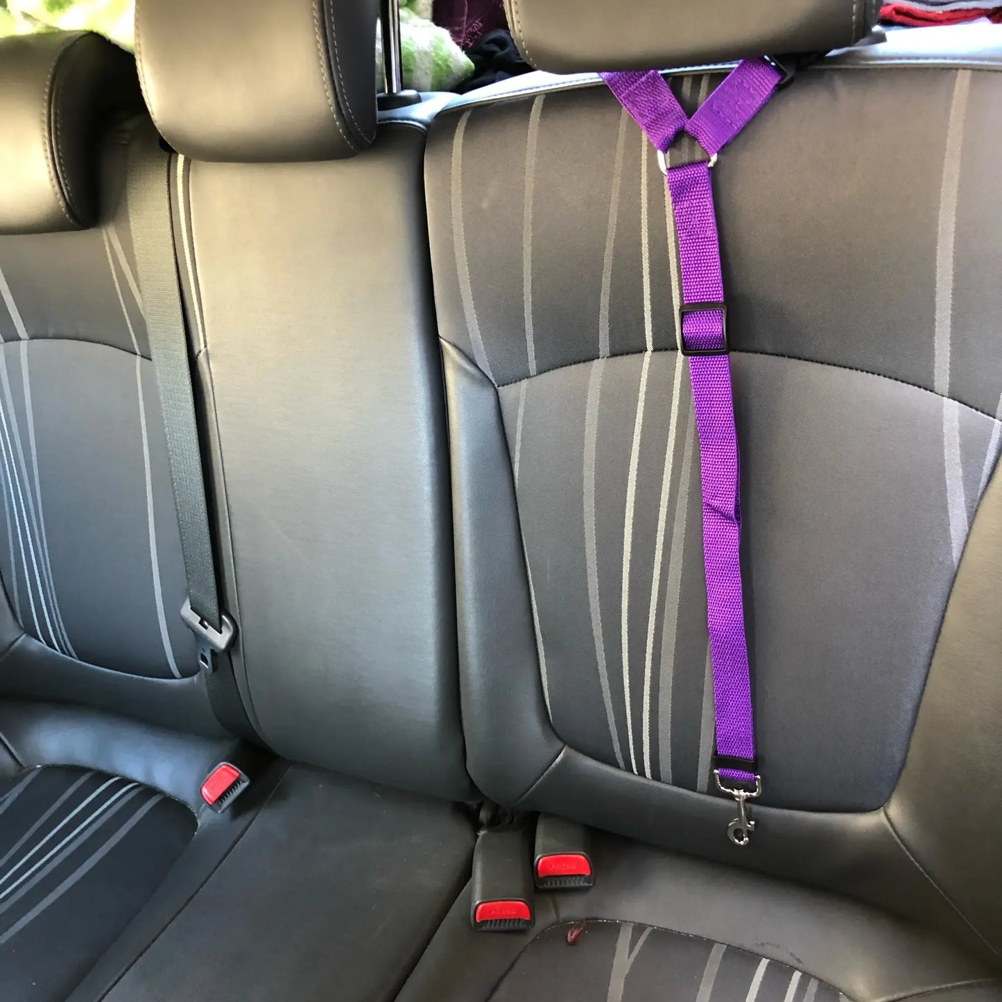 Two-in-One Pet Car Leash