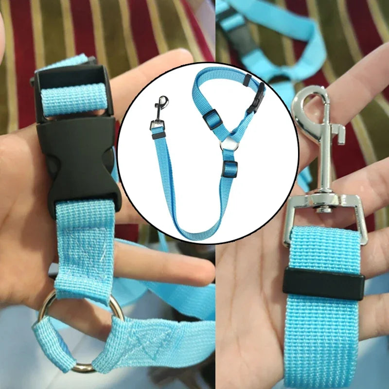 Two-in-One Pet Car Leash