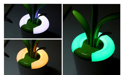Modern USB Desk Lamp