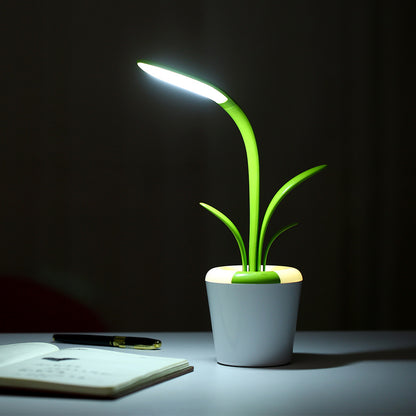 Modern USB Desk Lamp