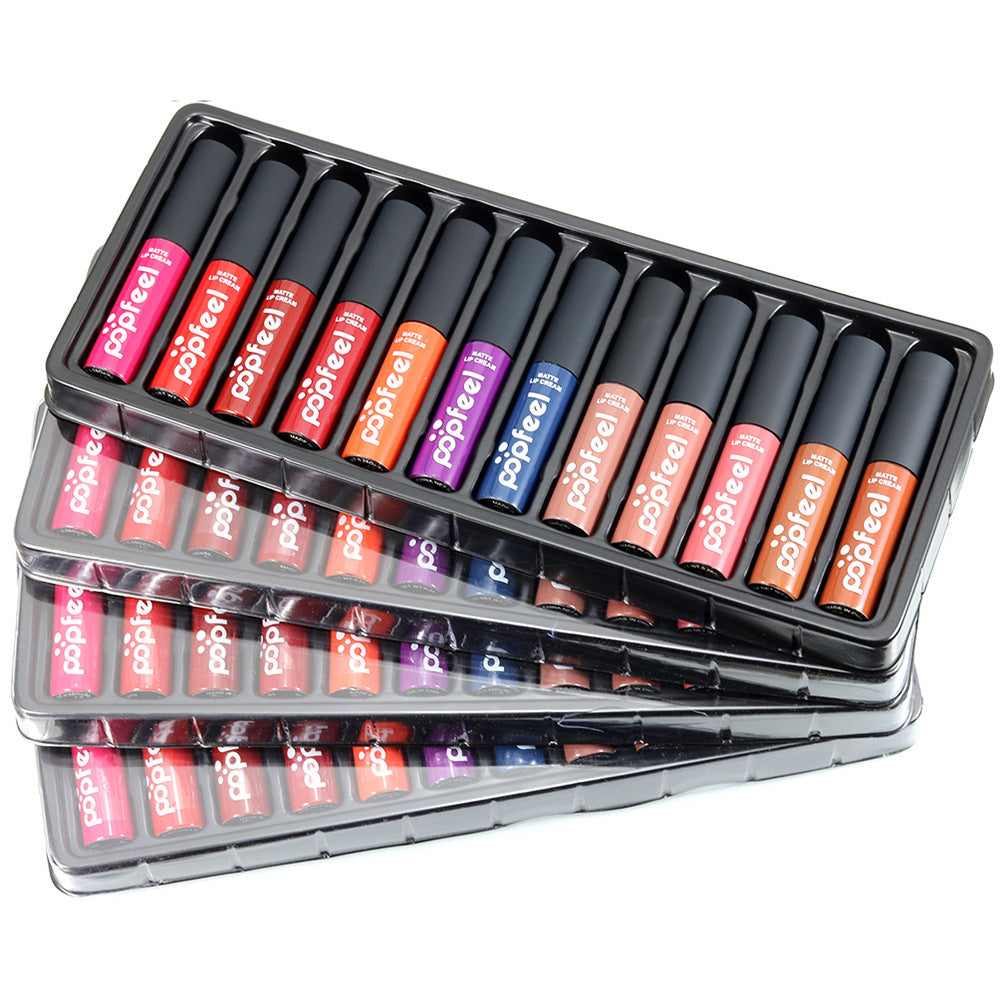 12-Color Lip Gloss Collection