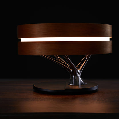 Smart Music Bed Lamp