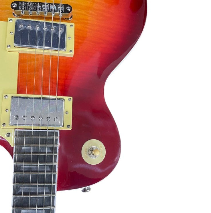 Les Paul Standard Reissue Guitar