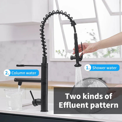 Elegant Black Pull-Down Faucet