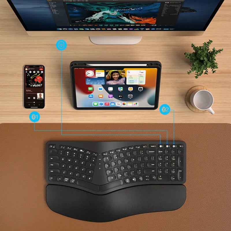 Jomaa Dual-Mode Ergonomic Combo