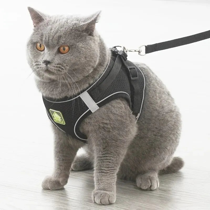 Reflective Pet Harness Set