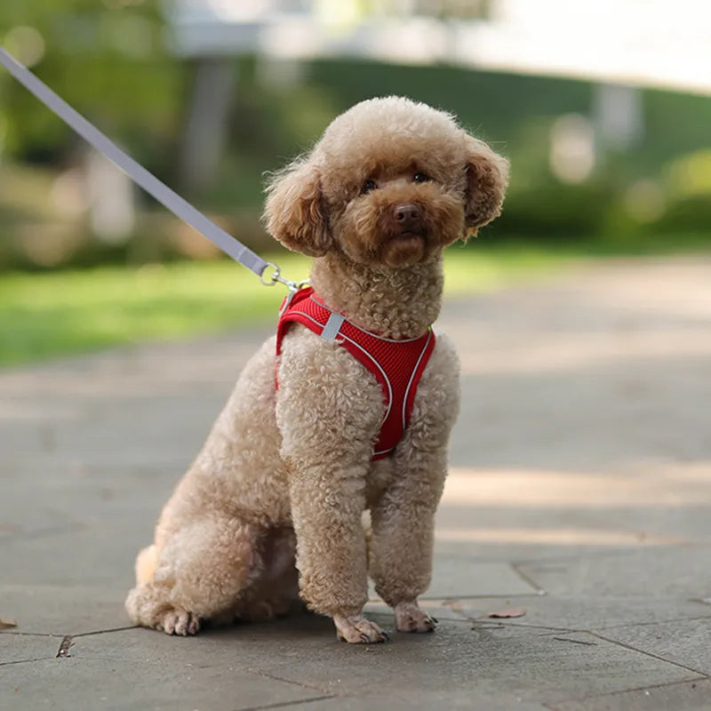 Reflective Dog Harness Leash Set