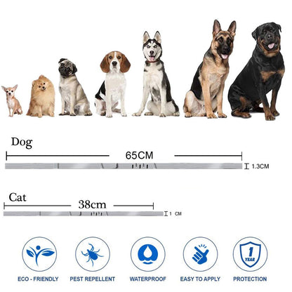 8-Month Flea Protection Collar