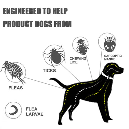 8-Month Flea Protection Collar