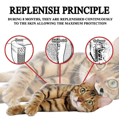 8-Month Flea Protection Collar