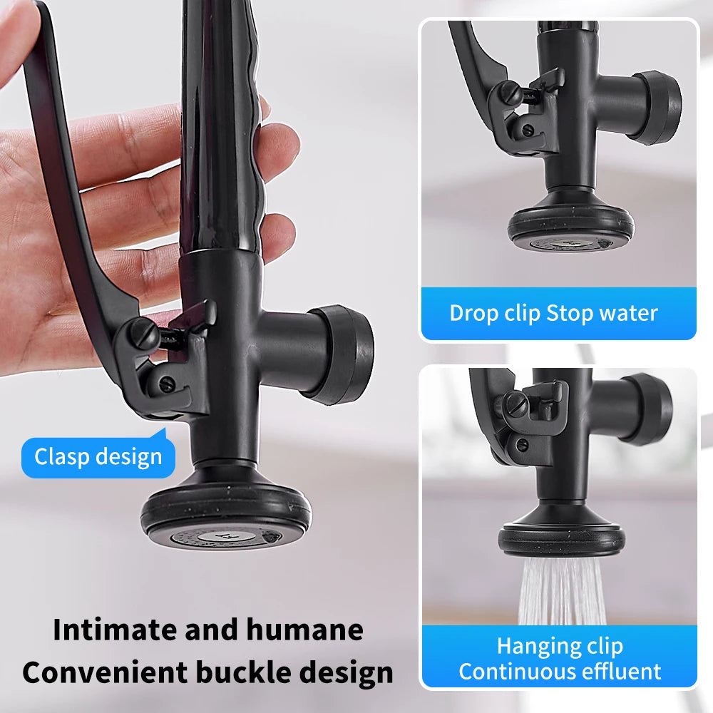Elegant Black Pull-Down Faucet