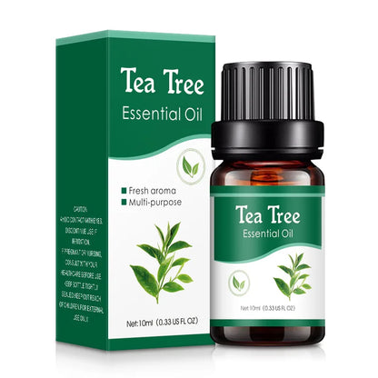 18 Fragrance Essential Oil Set