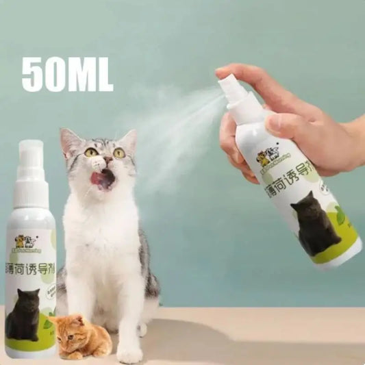 Catnip Spray 50ml Catnip Essential Oil Cat Funny Bubbles Toys Cat Calming Cat Mint Botanical Extracted Inducer Pet Accessories
